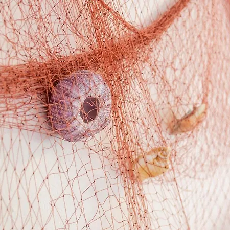 Apartment Namoru Vela Luka