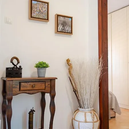 Apartment Tanja Vela Luka