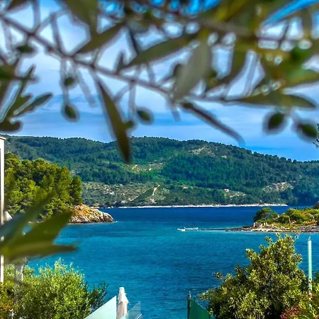 Tanja * Vela Luka